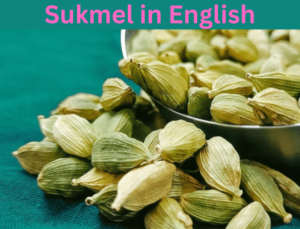 Read more about the article Sukmel in English |सुकमेल in English Meaning