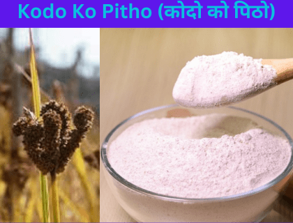 Read more about the article Kodo Ko Pitho in English